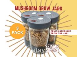 Mushroom Grow Jars 3 Pack Quart Wide-Mouth All In One Grow Jar with Reusable Plastic Lid Organic Rye and