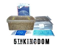 Mushroom Grow Kit 1200ml Tub