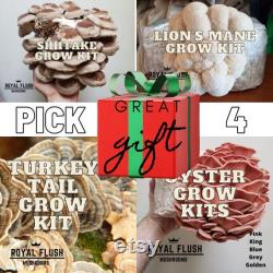 Mushroom Grow Kit Bundle Gluten-Free Oyster, Shiitake, Lion's Mane MORE