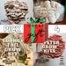 Mushroom Grow Kit Bundle Gluten-free Oyster, Shiitake, Lion's Mane More