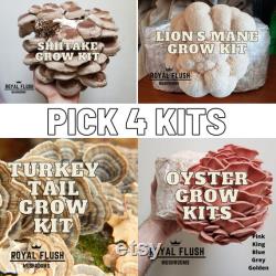 Mushroom Grow Kit Bundle Gluten-Free Oyster, Shiitake, Lion's Mane MORE