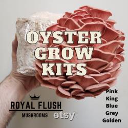 Mushroom Grow Kit Bundle Gluten-Free Oyster, Shiitake, Lion's Mane MORE