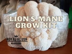Mushroom Grow Kit Bundle Gluten-Free Oyster, Shiitake, Lion's Mane MORE