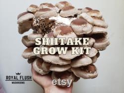 Mushroom Grow Kit Bundle Gluten-Free Oyster, Shiitake, Lion's Mane MORE