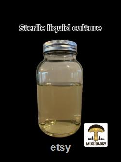 Mushroom Growing Liquid Culture Base 500ml Jar