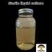 Mushroom Growing Liquid Culture Base 500ml Jar