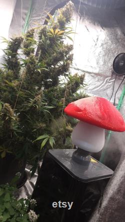 Mushroom Humidifier Topper