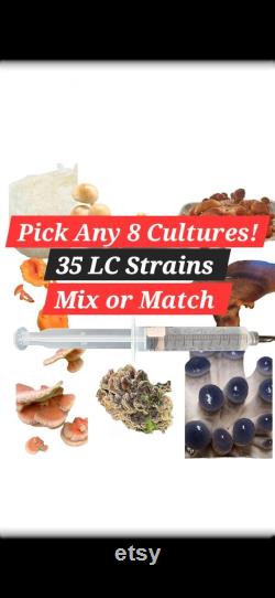 Mushroom Liquid Culture Mycelium Syringes, 10 ml, Any 8 Mix or Match