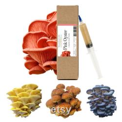 Mushroom Liquid Culture Syringes for Medical Mushroom and Gourmet Mushroom Growing 20mL Liquid Culture Easy Mushroom Kit Spore Syringes