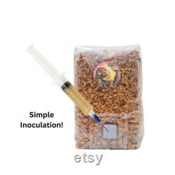 Mushroom Liquid Culture Syringes for Medical Mushroom and Gourmet Mushroom Growing 20mL Liquid Culture Easy Mushroom Kit Spore Syringes