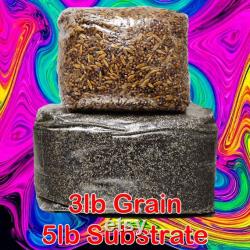 Mushroom Monotub Refill Pack