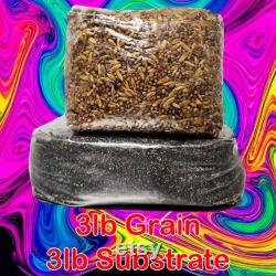 Mushroom Monotub Refill Pack