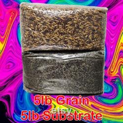 Mushroom Monotub Refill Pack