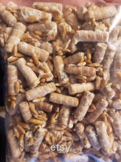 Mushroom Plug Spawn Dowels