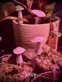 Mushroom Statues for Potted Plants