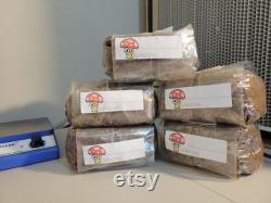 Mushroom Substrate Oak Hardwood With Gypsum 2.5 lb.