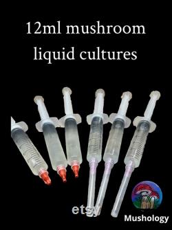 Mushroom liquid culture