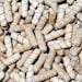 Mushroom Plugs, 1000 Birch Wood Dowels, Spiral Cut, Standard Size 5 16 X 1