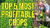 My 5 Most Profitable Crops