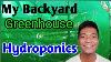 My Backyard Greenhouse For Hydroponics
