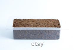 Mycelium Mold Growth form -Brick (Reusable)