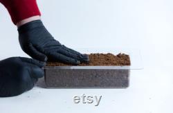 Mycelium Mold Growth form -Brick (Reusable)