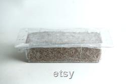 Mycelium Mold Growth form -Brick (Reusable)
