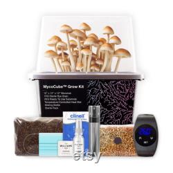 MycoCube Monotub Mushroom Grow Kit 12 x 12 x 12