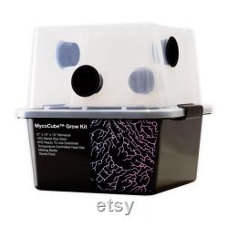 MycoCube Monotub Mushroom Grow Kit 12 x 12 x 12