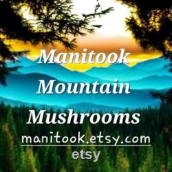 Mycology Lids for Mushroom Liquid Culture Mycelium Jars (Wide Mouth)