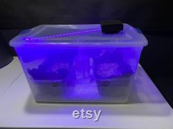 Mycomatic Automatic mushroom fruiting chamber kit D45