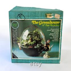 NOS Plexiglass Egg Greenhouse Terrarium