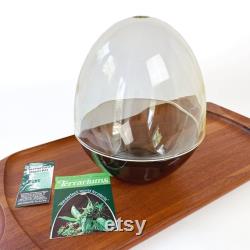 NOS Plexiglass Egg Greenhouse Terrarium