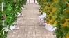 New Tower Hydroponic System In Greenhouse And Garden