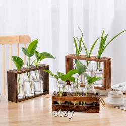 New propagation station wall hanging,wall mounted plant wall decoration,test tube holder forpropagatingplant plugs in water,home decorations