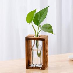 New propagation station wall hanging,wall mounted plant wall decoration,test tube holder forpropagatingplant plugs in water,home decorations