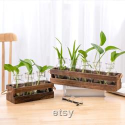 New propagation station wall hanging,wall mounted plant wall decoration,test tube holder forpropagatingplant plugs in water,home decorations