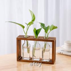 New propagation station wall hanging,wall mounted plant wall decoration,test tube holder forpropagatingplant plugs in water,home decorations