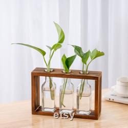 New propagation station wall hanging,wall mounted plant wall decoration,test tube holder forpropagatingplant plugs in water,home decorations