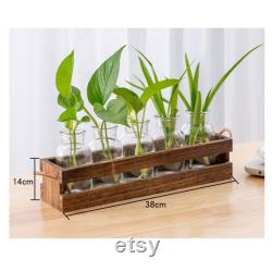 New propagation station wall hanging,wall mounted plant wall decoration,test tube holder forpropagatingplant plugs in water,home decorations