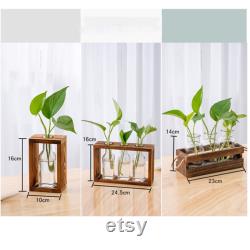 New propagation station wall hanging,wall mounted plant wall decoration,test tube holder forpropagatingplant plugs in water,home decorations
