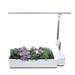 Opcom O2light Succulent Garden Hydroponics System