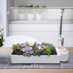 OPCOM O2Light Succulent Garden Hydroponics System