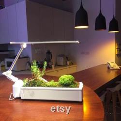 OPCOM O2Light Succulent Garden Hydroponics System