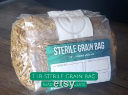 Oat Grain Spawn Bag, 1lb, Fermented oats make nutrients more bioavailable, sterilized and ready to inoculate. DIY mushroom spawn.