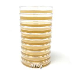 Olympus Myco Malt Yeast Extract Agar Plates Set of 10 Ideal for Mycology and Genetic Isolation