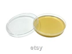 Olympus Myco Malt Yeast Extract Agar Plates Set of 10 Ideal for Mycology and Genetic Isolation