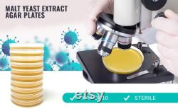 Olympus Myco Malt Yeast Extract Agar Plates Set of 10 Ideal for Mycology and Genetic Isolation