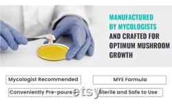 Olympus Myco Malt Yeast Extract Agar Plates Set of 10 Ideal for Mycology and Genetic Isolation