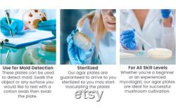 Olympus Myco Malt Yeast Extract Agar Plates Set of 10 Ideal for Mycology and Genetic Isolation